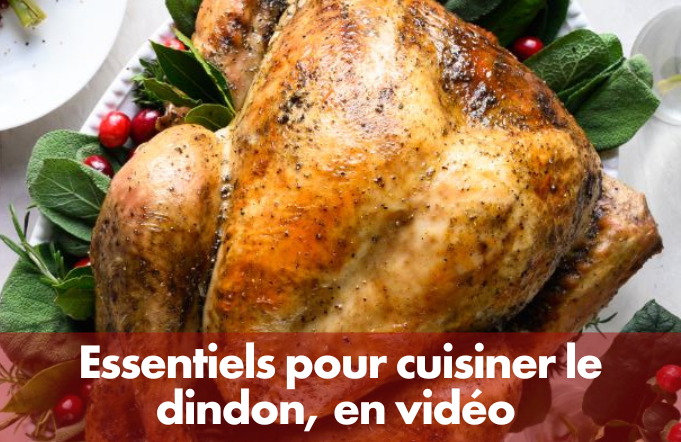 TURKEY BASICS: HOW-TO VIDEOS