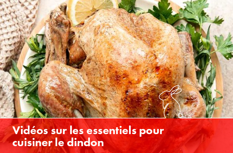Turkey Basic Videos